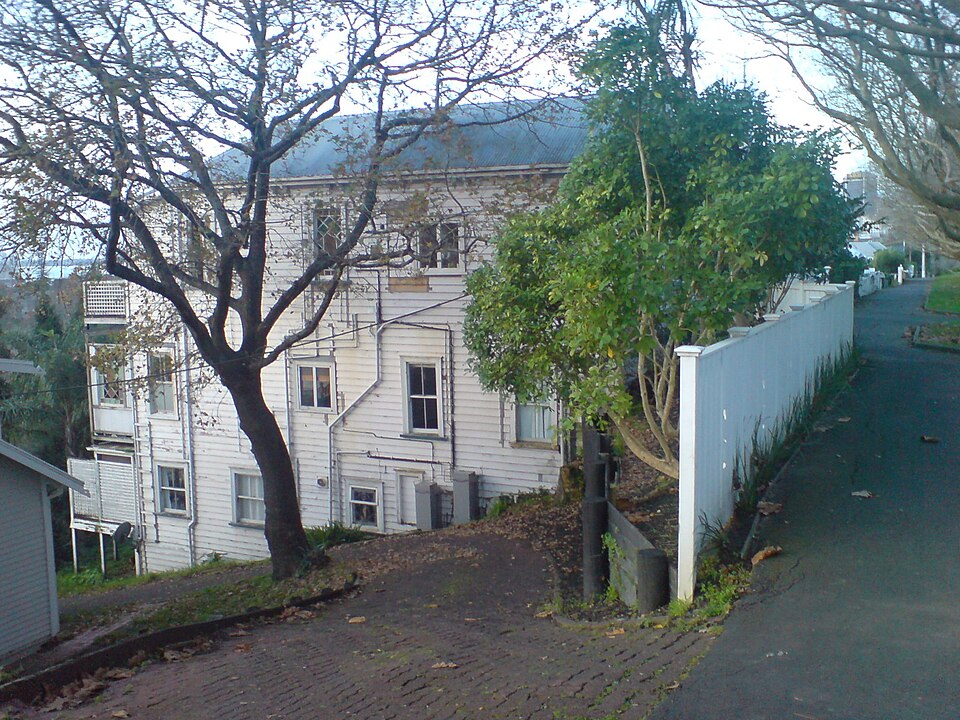 Residential homes and a tree-lined footpath in Freemans Bay