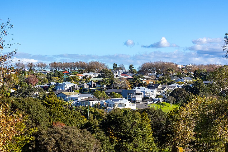Grey Lynn homes and trees viewed from Grey Lynn Park
