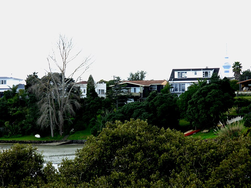 Westmere homes and harbour-side greenery viewed from Meola Reef